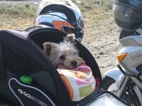 IMG_1202.jpg