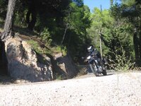IMG_1174.jpg