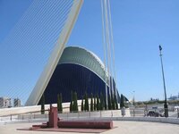 IMG_1164.jpg