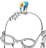 hair plugs.jpg