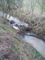 DSCF0527.JPG