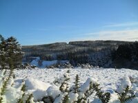 sno1.jpg