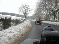 IMG_1529.jpg