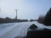 IMG_1575.jpg