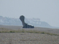 DSCF2082.jpg