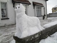 snodog1.jpg
