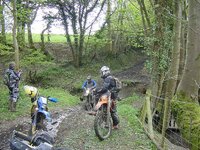 DSC01052.jpg