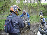 DSC01053.jpg
