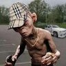 Brenchleyhibs