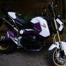 ArwenX7