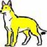 yellowwolf