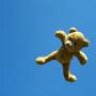 Sky Bear