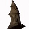 freddyfruitbat