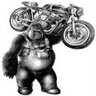 B15ape1981