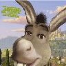 Donkey