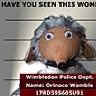 wearside womble