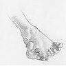 tangle foot