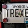 T.REX63