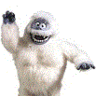 Yeti