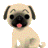rickyxsara