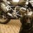 Black Dog