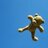 Sky Bear