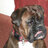 Jed
