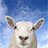 sheephead