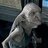 kreacher
