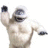 Yeti