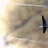 Windblast