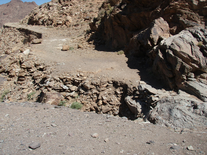 144055823-L.jpg