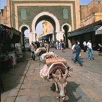 The Medina in Fes